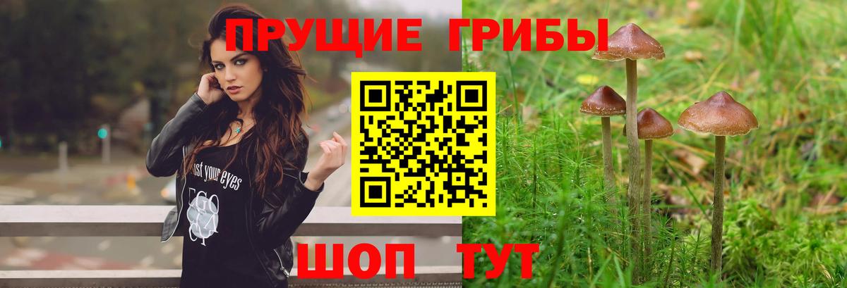 Псилоцибиновые грибы ЛСД  Вход с VPN  Видное 